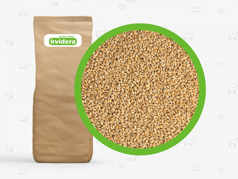 Krmná pšenice 25 kg